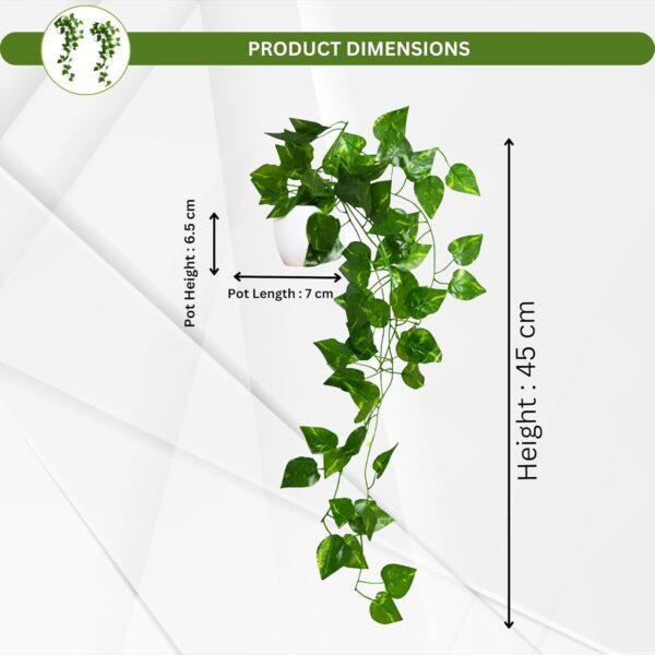 1771862372_fancymart-Plastic-Pack-Of-2-Artificial-Vine-Plants-Falling-With-Small-Size-Pot-Natural-TouchFeel-Home-Decor-Perfect-For-Home-And-Office-Decoration-Size-45-Cm-Artificial-Plant.jpg fancymart Plastic Pack Of 2 Artificial Vine Plants Falling With Small Size Pot-Natural Touch&Feel Home Décor-Perfect For Home And Office Decoration-Size 45 Cm | Artificial Plant