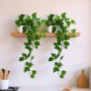 fancymart Plastic Pack Of 2 Artificial Vine Plants Falling With fancymart Plastic Pack Of 2 Artificial Vine Plants Falling With Small Size Pot-Natural Touch&Feel Home Décor-Perfect For Home And Office Decoration-Size 45 Cm | Artificial Plant