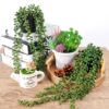 1772549943_VRB-Dec-Plastic-Tm-Artificial-Greenery-Ferns-Vines-Flowers-Needle-Wall-Hanging-For-Home-Decor-Door-Wall-Balcony-Decoration-Party-Festival-Craft-Artificial-Plants-Hanging-Design-1.jpg VRB Dec Plastic Tm Artificial Greenery Ferns Vines Flowers Needle Wall Hanging For Home Decor Door Wall Balcony Decoration Party Festival Craft, Artificial Plants Hanging (Design 1)