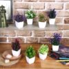 amazon basics Artificial Plants with Pot|Realistic Looking| Multi Variety |Durable Plastic | No Maintenance | Home Decor | Dimensions: 5 cm X 13 cm (Pack of 8)