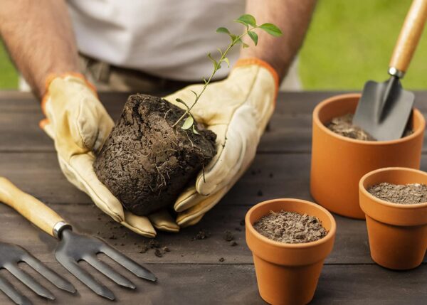 Oblivion Gardening Tool Set 4 Pcs – Pruner Shears, Hand Cultivator, Trowel & Fork with Wooden Handle for Planting, Weeding, Pruning & Soil Maintenance, Farming Equipment & Essential Garden Kit