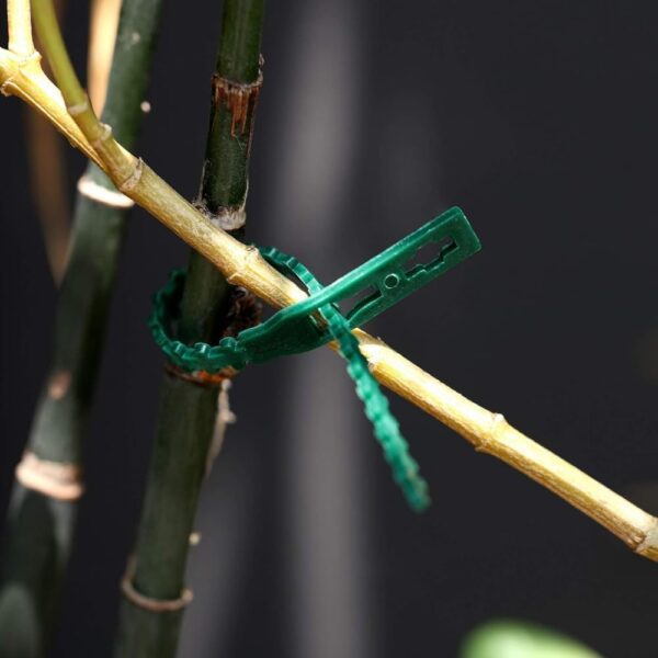 60 PCS Plant Support for Climbers Plant Support Sticks Plant Climbing Wall Clips Plant Ties Twist Tie Plant Holder Tie for Garden Accessories(17cm)