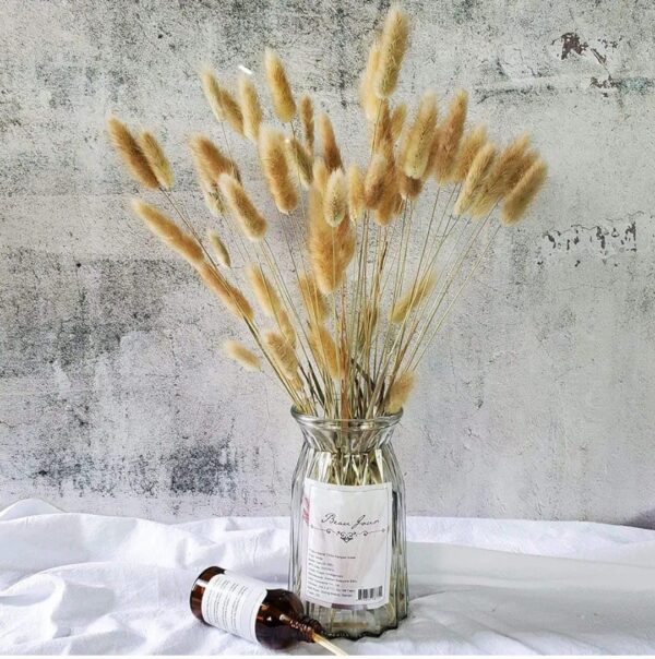 VRB Dec 50 Pcs Set 17inch Natural Dried Pampas Grass,Real Rabbit Bunny Tail,Reed Pampas,Boho Bouquet,Artificial Flowers Decor for Table Vase Home Decoration. (50 Pcs Dried Bunny Tails)