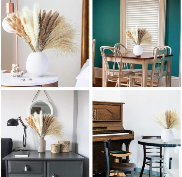 VRB Dec 50 Pcs Set 17inch Natural Dried Pampas Grass,Real Rabbit Bunny Tail,Reed Pampas,Boho Bouquet,Artificial Flowers Decor for Table Vase Home Decoration. (50 Pcs Dried Bunny Tails)