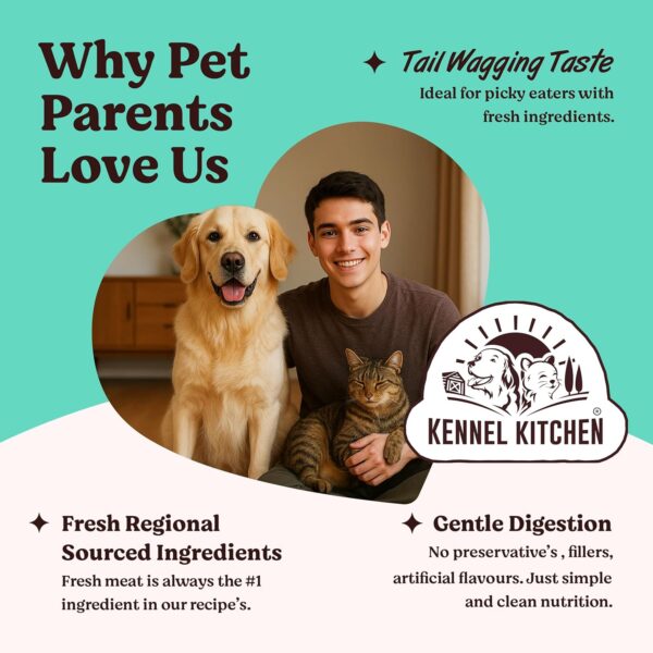 Kennel Kitchen Tuna in Jelly,12 x 80g Each. Grain Free Wet Cat Food for Adults and Kittens,