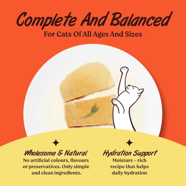 1773878991_Kennel-Kitchen-Grain-Free-Wet-Cat-Food-for-Adults-and-Kittens-Chicken-in-Jelly-12-Pouches-12-x-80-GMS.jpg Kennel Kitchen Grain Free Wet Cat Food for Adults and Kittens, Chicken in Jelly, 12 Pouches (12 x 80 GMS)
