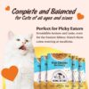 Kennel Kitchen Wet Cat Food for Adults and Kittens, Fish Chunks in Gravy, 12 Pouches (12 X 80 GMS)