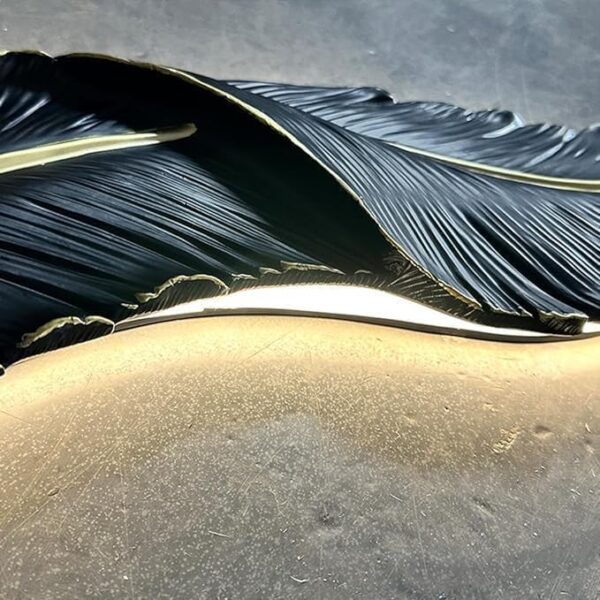 R.K Decor HUB Home Room decore LED Wall Light Sconce lamp Leave Leaf/Feather Mounted Modern Decorative Light Lamp for Living Room,Wall Decoration 2ft (Black)