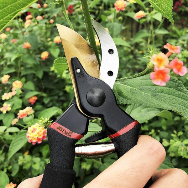 JD FRESH 8 Inch Heavy Duty Gardening Scissor/Plant Cutter for Garden/Pruners for Plants/Branch Cutter for Plants/Flower Cutter/Secateurs/Pruning Shears (Titanium Blade, Black)