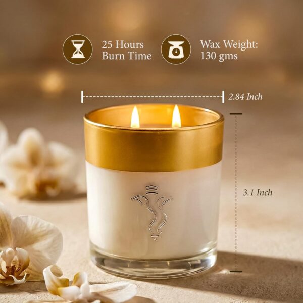 SEVA HOME Enchante Scented Candle Gift Set | Pack of 3 | Orchid, Jasmine & White Musk | 25H Burn Each | Natural Soy Wax | Festive Décor & Luxury Gifting