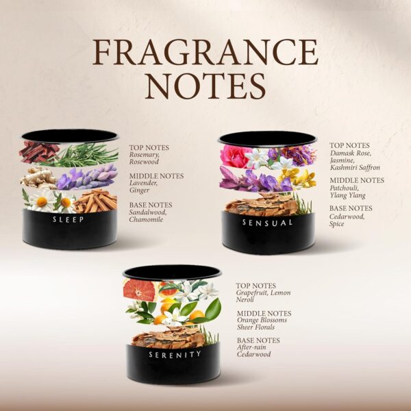 SEVA HOME The Vibes Classic Candle Gift Set of 3 | Sleep, Serenity & Sensual Scents | 30H Each | Natural Soy Wax Black Glass Candles | Luxury Décor & Gifting