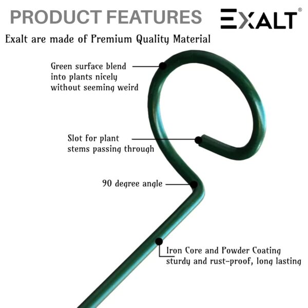 EXALT® 18 Inches Premium Plant Support Stakes, Sturdy Metal Construction for Strong and Healthy Plant Growth (Light Green - 5 pcs)