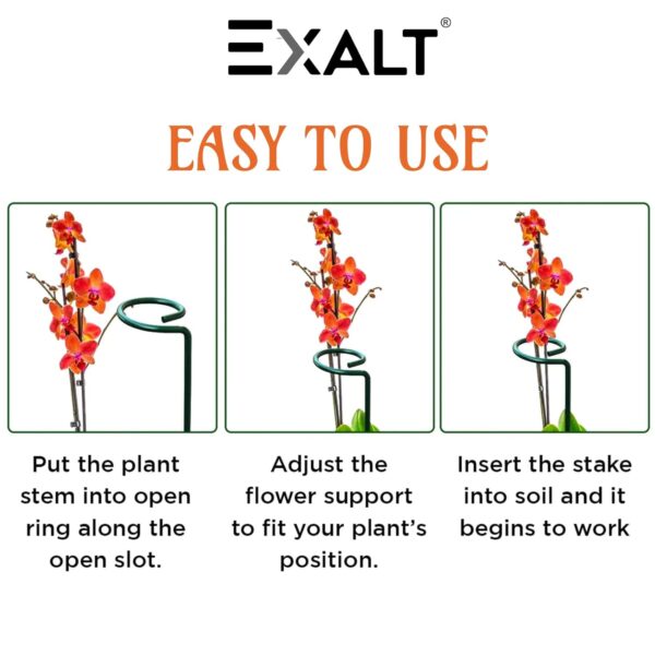 EXALT® 18 Inches Premium Plant Support Stakes, Sturdy Metal Construction for Strong and Healthy Plant Growth (Light Green - 5 pcs)