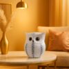 Xtore® Modern Classy Lucky Owl Resin Art Figure Showpiece -(Pack of 1, White)