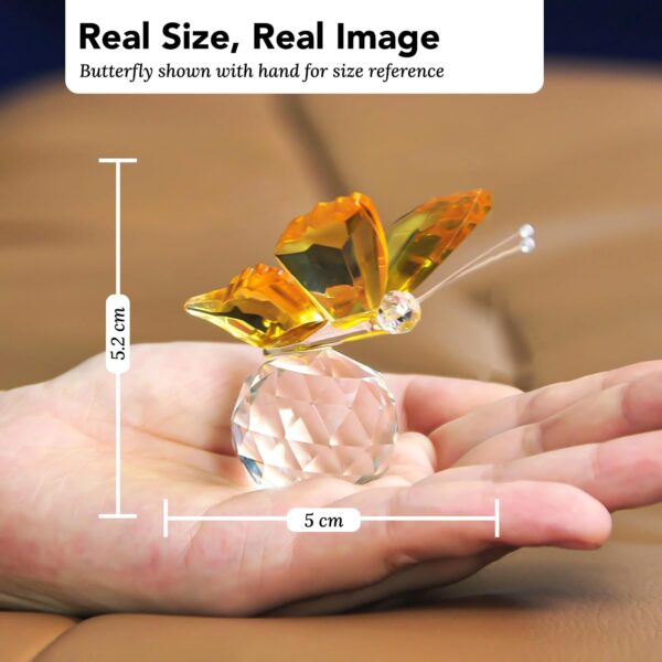 Nostrae by Ekhasa Crystal Butterfly Show Pieces for Home Decor Living Room Decorative Items | Glass Showpieces Gift Items for Decoration | Center Table Tv Showcase Office Desk Interior Figurines