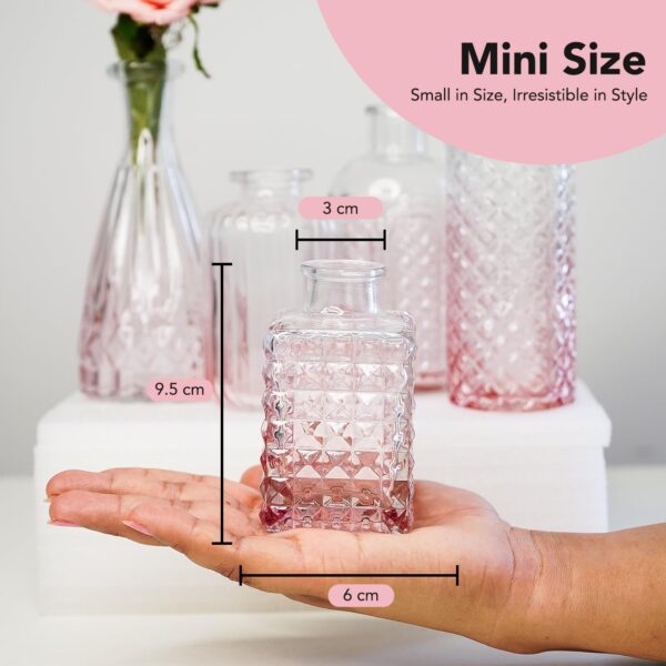 Ekhasa 100% Crystal Clear Glass Bud Vases (Set of 5) | Transparent Glass Vases for Water Plants & Decoration