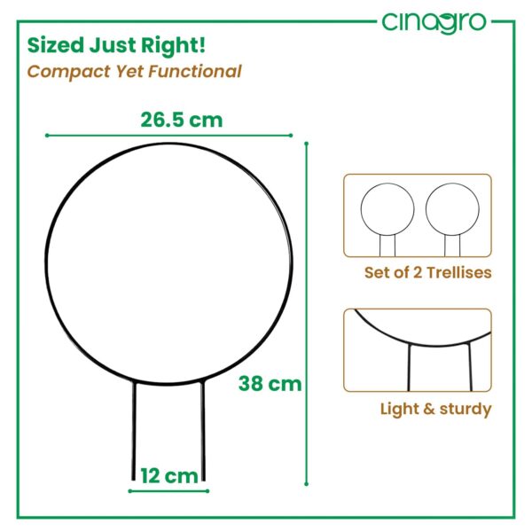 Cinagro Round-Shaped Black Iron Garden Trellis for Climbing Plants, Rust-Free Powder-Coated Finish, Metal Vine Support Rack for Balcony, Indoor & Outdoor Pots, Decorative Plant Stake (Pack of 2)