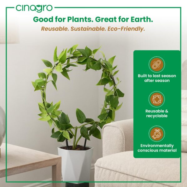 Cinagro Round-Shaped Black Iron Garden Trellis for Climbing Plants, Rust-Free Powder-Coated Finish, Metal Vine Support Rack for Balcony, Indoor & Outdoor Pots, Decorative Plant Stake (Pack of 2)