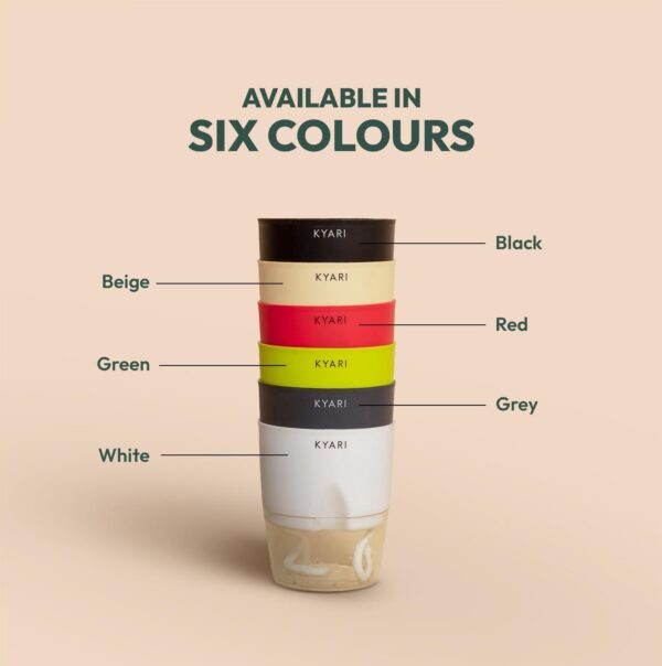 KYARI Jade Plant, Spider Plant, Rhoeo Plant, Golden Money Combo of 4 Indoor Plants for Living Room | Live Plants | Plants with Cream Self Watering Pot for Home | Air purifier plants for Home Decor