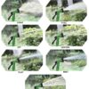 1774689637_Expandable-Magic-Flexible-Garden-Hose-Pipe-15-Meter-with-Spray-Gun-–-Plastic-Watering-for-Gardening-Car-Washing-Cleaning-Lightweight-Leakproof-Water-Pack-of-1.jpg Expandable Magic Flexible Garden Hose Pipe 15 Meter with Spray Gun – Plastic Watering for Gardening, Car Washing & Cleaning Lightweight Leakproof Water (Pack of 1)
