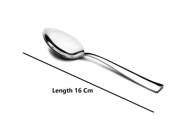 KC Stainless Steel Spoon Set, 12 Pieces, Indian Kitchen Utensils (6 Spoons and 6 Forks Set)