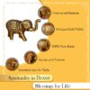 Ekhasa 100% Pure Brass Elephant Idol Showpiece Figurine Feng Shui (Small Size) | Vastu Items for Home décor for Good Luck | Elephant Decorative Items Show Pieces for Living Room (Set of 2)