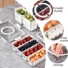 Vasukie Divided Fridge Storage Boxes With 4 Serving Veggie Tray with Lid and Handle, Fridge Organizer with Removable 4 Compartment, Fridge Storage Containers (4 Compartment-1PC)