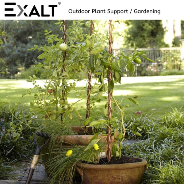 1774798642_EXALT®-3-feet-Premium-Natural-Teak-Wood-Plant-Support-Sticks-Garden-Sticks-for-Straightening-Training-and-Supporting-Plants-Strong-and-Durable-Solution-for-Healthy-Growth-12-pcs.jpg EXALT® 3 feet Premium Natural Teak Wood Plant Support Sticks - Garden Sticks for Straightening Training and Supporting Plants - Strong and Durable Solution for Healthy Growth (12 pcs)
