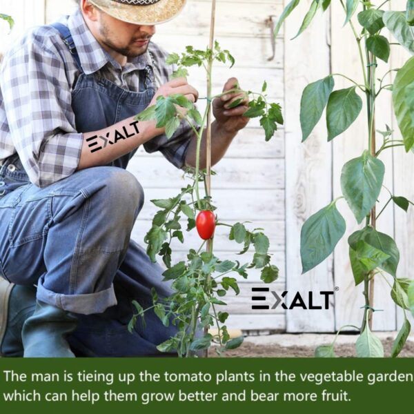 1774798643_EXALT®-3-feet-Premium-Natural-Teak-Wood-Plant-Support-Sticks-Garden-Sticks-for-Straightening-Training-and-Supporting-Plants-Strong-and-Durable-Solution-for-Healthy-Growth-12-pcs.jpg EXALT® 3 feet Premium Natural Teak Wood Plant Support Sticks - Garden Sticks for Straightening Training and Supporting Plants - Strong and Durable Solution for Healthy Growth (12 pcs)