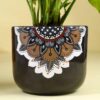 FlowerAura Air Purify Good Luck Money Live Indoor Plant In Black Mandala Terracotta Pot For Gifting, Living Room, Balcony, Kitchen, Home Decor, Office Desk Decor, Window Decor (Same Day Delivery)