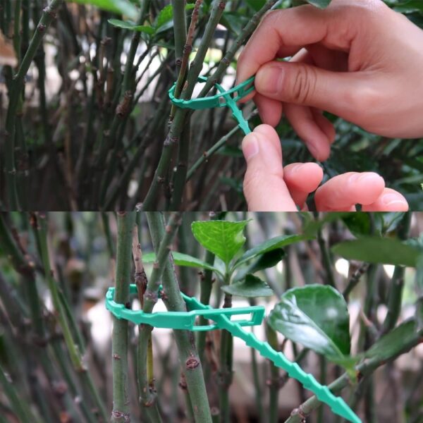 60 PCS Plant Support for Climbers Plant Support Sticks Plant Climbing Wall Clips Plant Ties Twist Tie Plant Holder Tie for Garden Accessories(17cm)