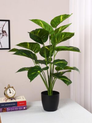 ARICKDECOR 2.2FT Artificial Calathea Orbifolia Plant for Home Decor/Office Decor/Gifting | 65 cm Tall Plant with Basic (Multicolor-26)