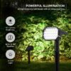 Amazon Basics Solar Landscape Spotlight | 24 LED Beads | Adjustable Head | 2 Lighting Modes | IP65 Waterproof | Wall & Ground Mount | Outdoor Garden Path Light