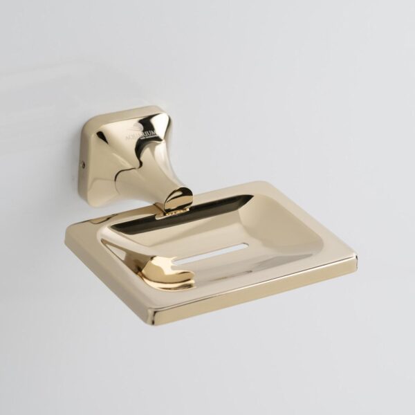 Aquarium Bath Soap Dish/Holder/Tray for Bathroom, Kitchen | Made with Stainless Steel 304 & Brass | PVD Rose Gold Finish | Ideal Bathroom Accessories for Bathroom | Ellen (Gold)