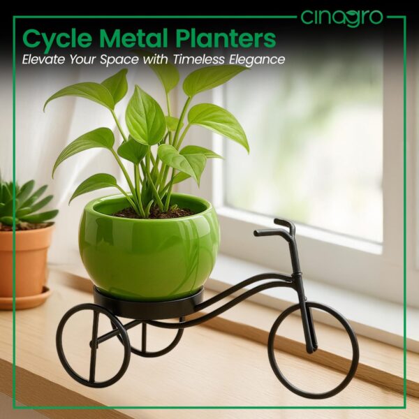 CINAGRO-Cycle-Shaped-Metal-Plant-Stand-for-Indoor-Outdoor-Use-Metal-Cycle-Flower-Vase-Decorative-Iron-Planter-Pot-Holder-for-Flowers-Ornaments-24-x-11-x-11cm-Style-Urban-Pedal-Big.jpg CINAGRO Cycle-Shaped Metal Plant Stand for Indoor & Outdoor Use, Metal Cycle Flower Vase, Decorative Iron Planter Pot Holder for Flowers & Ornaments (24 x 11 x 11cm) Style: Urban Pedal, Big