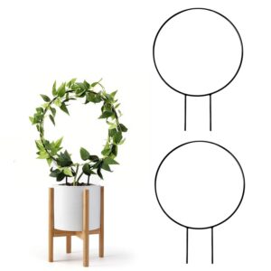 Cinagro Round-Shaped Black Iron Garden Trellis for Climbing Plants, Rust-Free Powder-Coated Finish, Metal Vine Support Rack for Balcony, Indoor & Outdoor Pots, Decorative Plant Stake (Pack of 2)