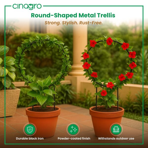 Cinagro Round-Shaped Black Iron Garden Trellis for Climbing Plants, Rust-Free Powder-Coated Finish, Metal Vine Support Rack for Balcony, Indoor & Outdoor Pots, Decorative Plant Stake (Pack of 2)