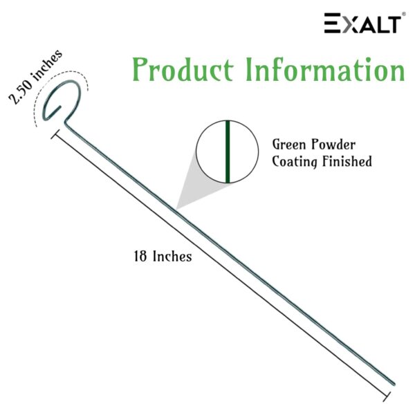 EXALT® 18 Inches Premium Plant Support Stakes, Sturdy Metal Construction for Strong and Healthy Plant Growth (Light Green - 5 pcs)