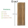 EXALT® 3 feet Premium Natural Teak Wood Plant Support Sticks EXALT® 3 feet Premium Natural Teak Wood Plant Support Sticks - Garden Sticks for Straightening Training and Supporting Plants - Strong and Durable Solution for Healthy Growth (12 pcs)