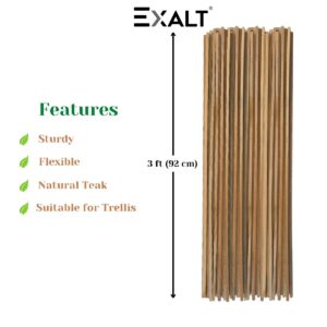 EXALT® 3 feet Premium Natural Teak Wood Plant Support Sticks EXALT® 3 feet Premium Natural Teak Wood Plant Support Sticks - Garden Sticks for Straightening Training and Supporting Plants - Strong and Durable Solution for Healthy Growth (12 pcs)