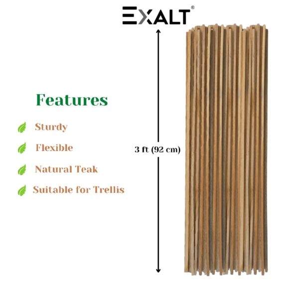EXALT® 3 feet Premium Natural Teak Wood Plant Support Sticks EXALT® 3 feet Premium Natural Teak Wood Plant Support Sticks - Garden Sticks for Straightening Training and Supporting Plants - Strong and Durable Solution for Healthy Growth (12 pcs)