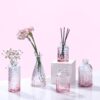 Ekhasa 100% Crystal Clear Glass Bud Vases (Set of 5) | Transparent Glass Vases for Water Plants & Decoration