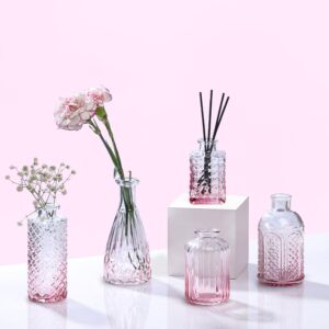 Ekhasa 100% Crystal Clear Glass Bud Vases (Set of 5) Ekhasa 100% Crystal Clear Glass Bud Vases (Set of 5) | Transparent Glass Vases for Water Plants & Decoration