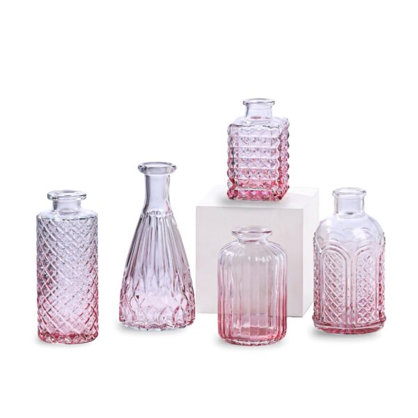 Ekhasa 100% Crystal Clear Glass Bud Vases (Set of 5) | Transparent Glass Vases for Water Plants & Decoration