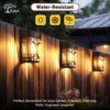 Epyz Plastic Solar Wall Light Outdoor Waterproof Garden Decoration Wall Lamps, IP64 Waterproof Doorway, Balcony,Fence Decor [ Warm Yellow Pack of 1 ]