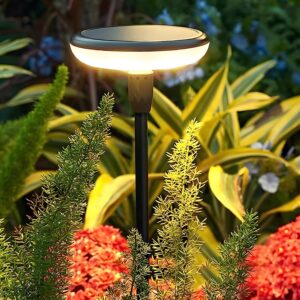 GIGAWATTS GW-241 8 LED Solar Garden Light with 2V Panel GIGAWATTS GW-241 8 LED Solar Garden Light with 2V Panel BIS Approved 800mAh Ni-MH Battery Swaying Stake Outdoor Lamp for Yard Lawn Walkway Decor (Pack of 1, Warm White)