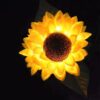 GIGAWATTS GW-917 Solar Sunflower Flower Light | 10 LED Solar Flower Lights for Garden with 600mAh Battery, BIS Approved, IP65 Waterproof Outdoor Garden Pathway Decoration Lamp (Pack of 1, Warm White)