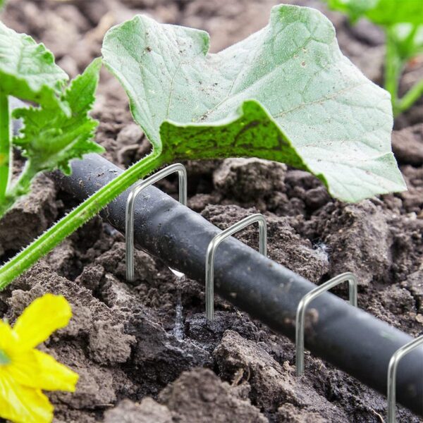 HASTHIP® 50 Pcs Landscape Staples for Securing Landscape Fabric, Ground Cover or Drip Irrigation Tubing, Heavy Duty Galvanized Steel Garden Stakes Staples Securing Pegs (6 in)