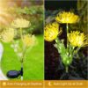Homehop Solar Garden Light Outdoor Waterproof 20 LED Decorative Flower Lamp for Pathway, Balcony, Two Light Modes(Warm Light Pack of 2)