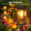 KOOPER 8 Pack Solar Pathway Lights - Unique Waterproof Garden Lights for Outdoor Patio, Yard, Lawn, Walkway - Auto On/Off
